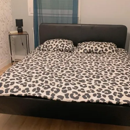 Chaleureux Apartment