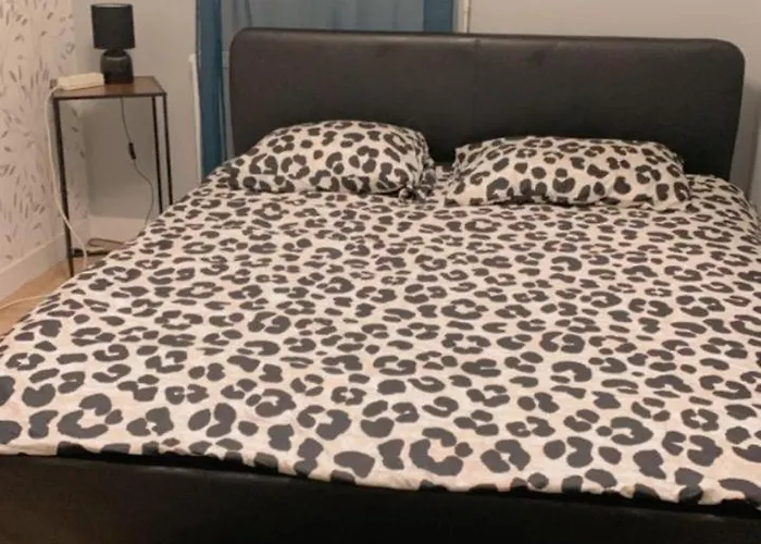 Chaleureux Apartment